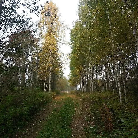 Pohjavaarantie *